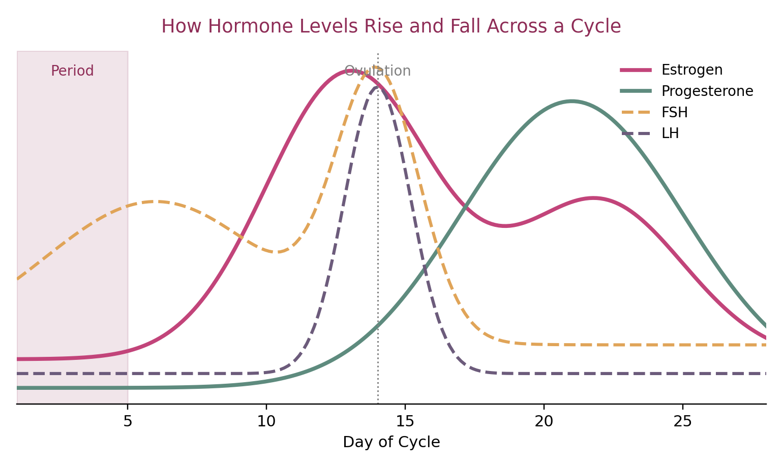 Educational Diagram for Chapter 4: Hormones Made Simple