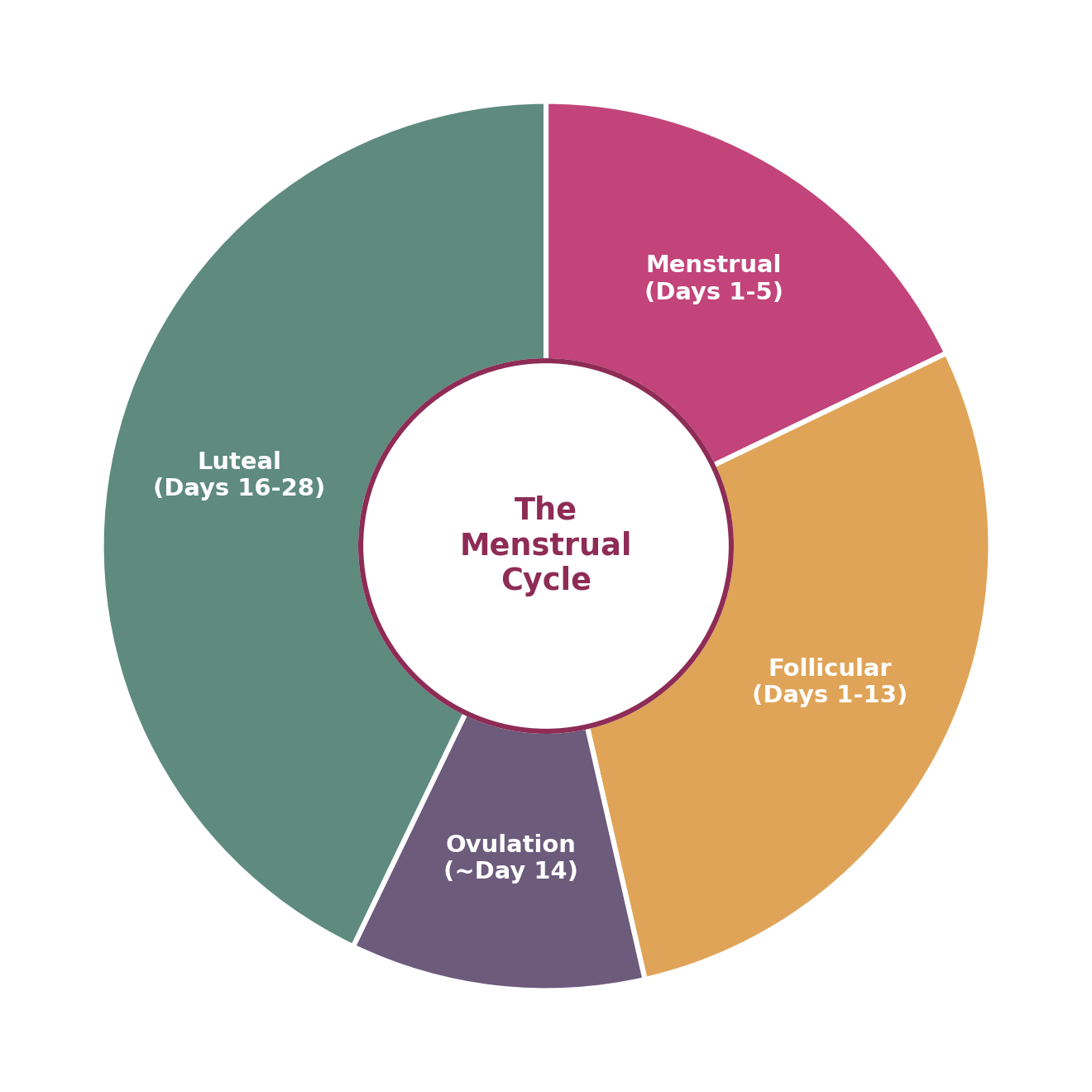 Educational Diagram for Chapter 5: Understanding the Menstrual Cycle